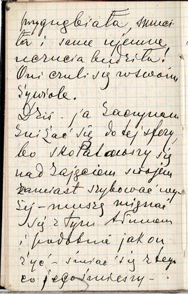 Notes nr 14 z wpisami odręcznymi Erazma Majewskiego z okresu 12.05.1882 r.- 27.12.1882 r.  strona.