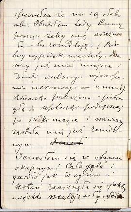 Notes nr nr 37 z wpisami odręcznymi  Erazma Majewskiego z okresu od 15.03.1891 r.-10.10.1891 r.  ...