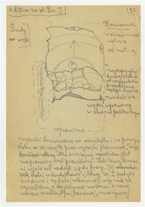 Open original Obiekt cyfrowy