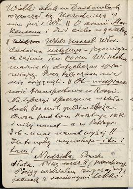 Notatnik nr 86 z odręcznymi notatkami Erazma Majewskiego z okresu od 01.10.1915 r. do 20.04.1916 ...