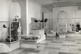 Fotografia kolorowa (odbitka) z otwarcia wystawy pt.  "Terra Sigillata - Porcelana antyku&qu...