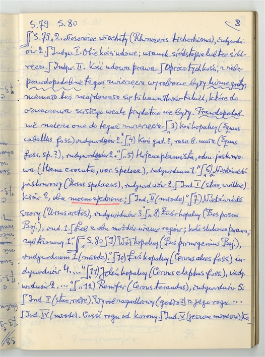 Open original Objet numérique