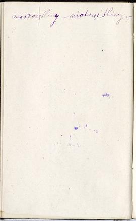 Notes nr 1 z okresu 29.06.1873 r.-24.09.1874 r.  Notatka odręczna Erazma Majewskiego: "niesz...