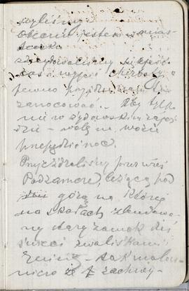 Notes nr 9 z okresu 30.06.1878 r .- 14.03.1879 r. Notatki odręczne Erazma Majewskiego   dot. poby...