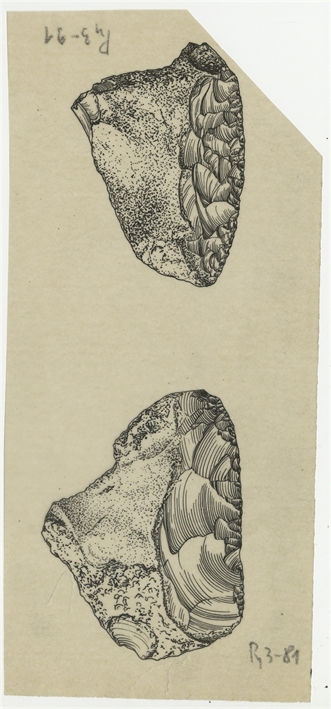 Open original Digital object