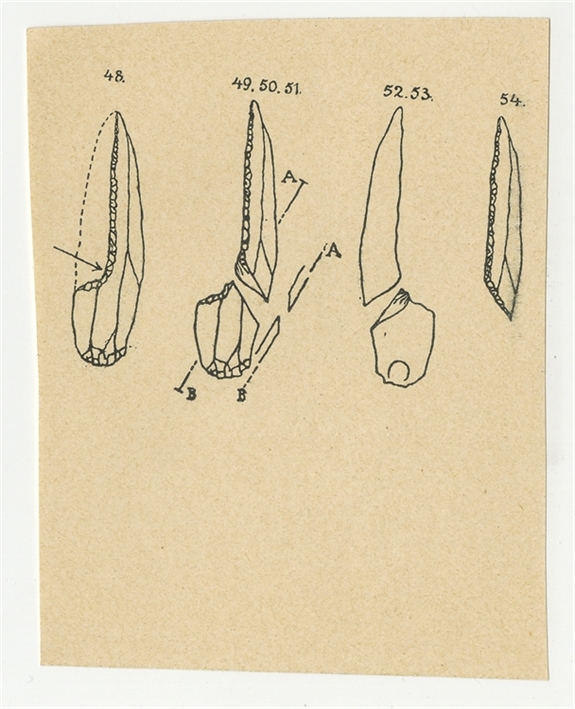 Open original Obiekt cyfrowy