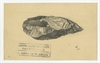 Rysunek narzędzia krzemiennego (ołówek na kartonie) z 12 IV 1925 roku