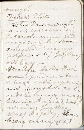 Notes nr 9 z okresu 30.06.1878 r .- 14.03.1879 r. Notatki odręczne Erazma Majewskiego   dot. poby...