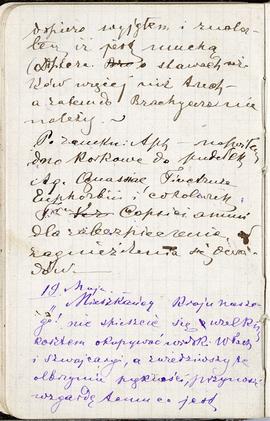 Notes nr 4 z okresu 01.05.1876 r.-15.02.1877 r. Notatki odręczne Erazma Majewskiego dot. spraw co...