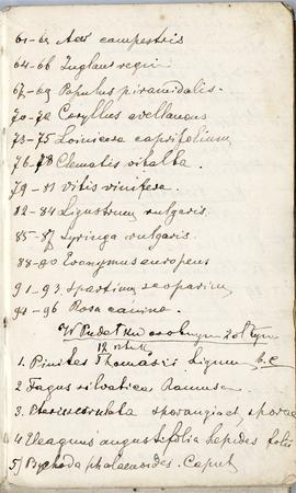 Notes nr 2 z okresu  01.12.1874 r.-01.09.1875 r. Notatki odręczne Erazma Majewskiego ze spisem pr...