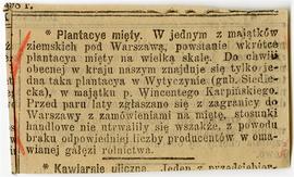 Wycinek prasowy z gazety NN: "Plantacye mięty. […]"  wycinek znajduje się luzem w kiesz...