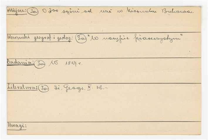 Open original Objet numérique