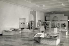 Fotografia kolorowa (odbitka) z otwarcia wystawy pt.  "Terra Sigillata - Porcelana antyku&qu...