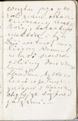 Notes nr 9 z okresu 30.06.1878 r .- 14.03.1879 r. Notatki odręczne Erazma Majewskiego   dot. poby...