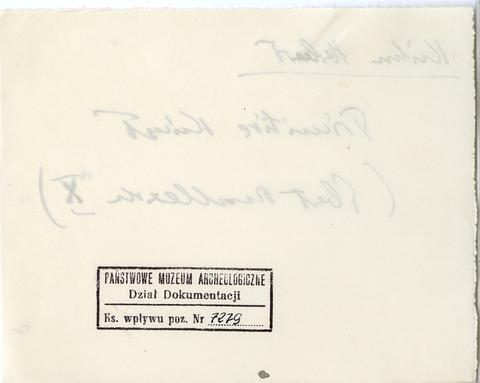 Open original Digital object