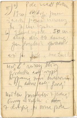 Notes Józefa Żurowskiego pt. "Dziennik przedhistorycznych wiadomości" z odręcznymi nota...