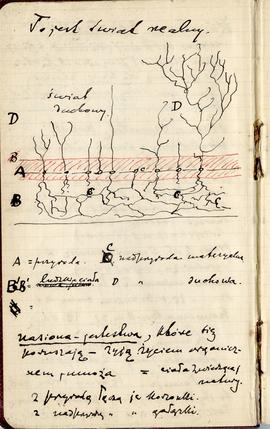 Notatnik nr 71 z odręcznymi notatkami Erazma Majewskiego z okresu od 26.05.1911 r. do 08.08.1912 ...