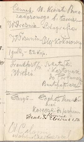 Notes nr 13 z okresu 01.02.1882 r.- 01.05.1882 r.Notatki odręczne Erazma Majewskiego: "Canne...