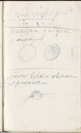 Notes nr 1 z okresu 29.06.1873 r.-24.09.1874 r.  Odręczne rysunki Erazma Majewskiego wykonane ołó...