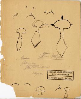 Brulion Józefa Żurowskiego pt. "Plastyka od Fidiasza począwszy" z odręcznymi notatkami ...